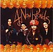 Artikel von 4 Non Blondes